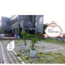 뮤지엄오크 이미지