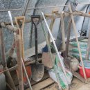 신당농장 이미지