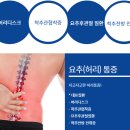 가정신현탑본정형외과의원 이미지