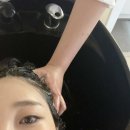 얼룩덜룩한 머리 심폐소생술 톤 다운 양산 염색 비포 애프터 확실한 후기