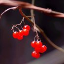 대야지역아동센터 이미지