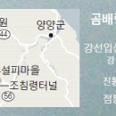 눈꽃나무