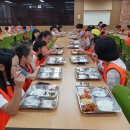 보성백록다원 이미지