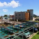 하도리 사무소 이미지