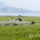 ㈜청보리 이미지