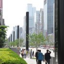 강남대로 이미지