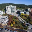 신비한 동물병원 인센텀 이미지