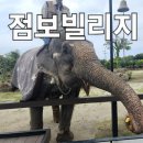 점보빌리지 | 점보빌리지 제주투어패스로 다녀온 후기 &amp;꿀팁 &amp;주의 사항