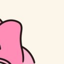 프롬데이지 이미지
