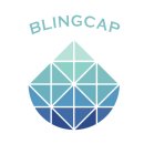 블링캡 이미지