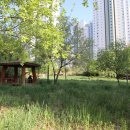 전재울근린공원 유아숲체험원 이미지