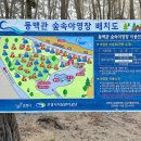 용두해수욕장(동백관) 이미지