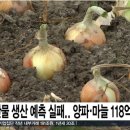 농부심 이미지
