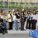 매교초등학교 이미지