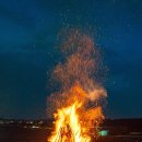 달맞이밤 이미지