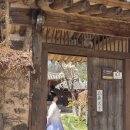 묵와고가체험관광 | [경남/산청] 산청 가볼만한곳 남사예담촌 가족여행 후기, 한복 입고 전통혼례 체험까지