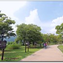 다산생태공원 이미지