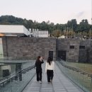 제주에서 이미지