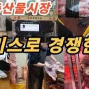 축산물시장(6) 네이버블로그
