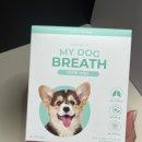 펫프로젝트 이미지