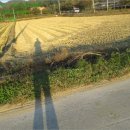 공검면 역곡리 이미지