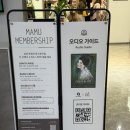 아트미라클(Art Miracle) | [클림트와 리치오디의 기적] 삼성 마이아트뮤지엄/ 미술 전시 방문 후기 (+기간, 가격, 주차 등)