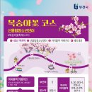 도약로282번길 이미지