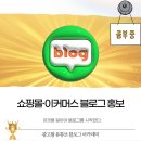 <단기특강 대면>패션 스타일링 | 쇼핑몰·이커머스 블로그 홍보