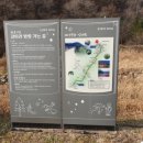 효석문학100리길 제3구간 이미지
