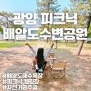 태인동주민센터 | 전남 광양 배알도수변공원 피크닉, 캠핑(자전거 종주길)