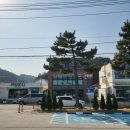 죽도해수욕장 야영장 이미지