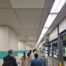 우연히 만난 오사카 우메다 미슐랭 냉우동 맛집 &#39; 우동보우&#39; 후기