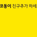 동이스토어 이미지