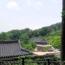사나사 - 1160 | 사나사