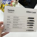 다인로얄팰리스2차 | 금곡동 속눈썹 연장맛집 에일린속눈썹 플랫모 C컬 솔직후기