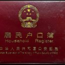 국제 다문화 행정사사무소 이미지