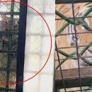 동물원 화장실 이미지