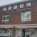 대왕곰장어 이미지