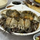 털보선장회센타