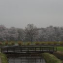 신라초등학교 이미지