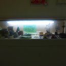 화서기념관 이미지