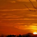 향기로부동산중개 이미지