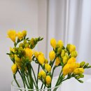 중앙아케이트 이미지