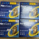 천안동물약국 | 충청남도 천안 동물약국 넥스가드 스펙트라 저렴한 약국 추천 3달 46000원 가성비 한달에 15000원 내돈내산