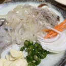 대전 관저동 횟집 / 관저동맛집 / 관저오징어나라 단골의 내돈내산후기 / 관저동 술집