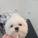 연두미용실 이미지