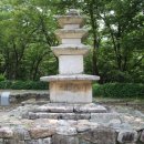 사나사(사찰 앞) Daum카페