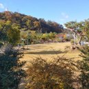 덕산수목원