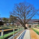 영주시장수면보건지소 이미지