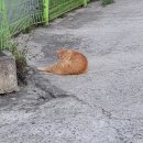 학익체육관 이미지